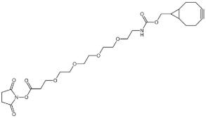 endo-BCN-PEG4-NHS ester